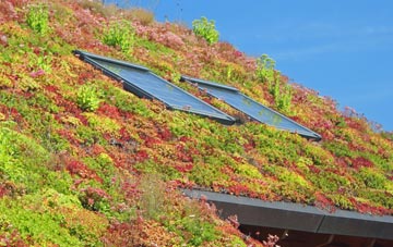 Coleford Water living roof systems